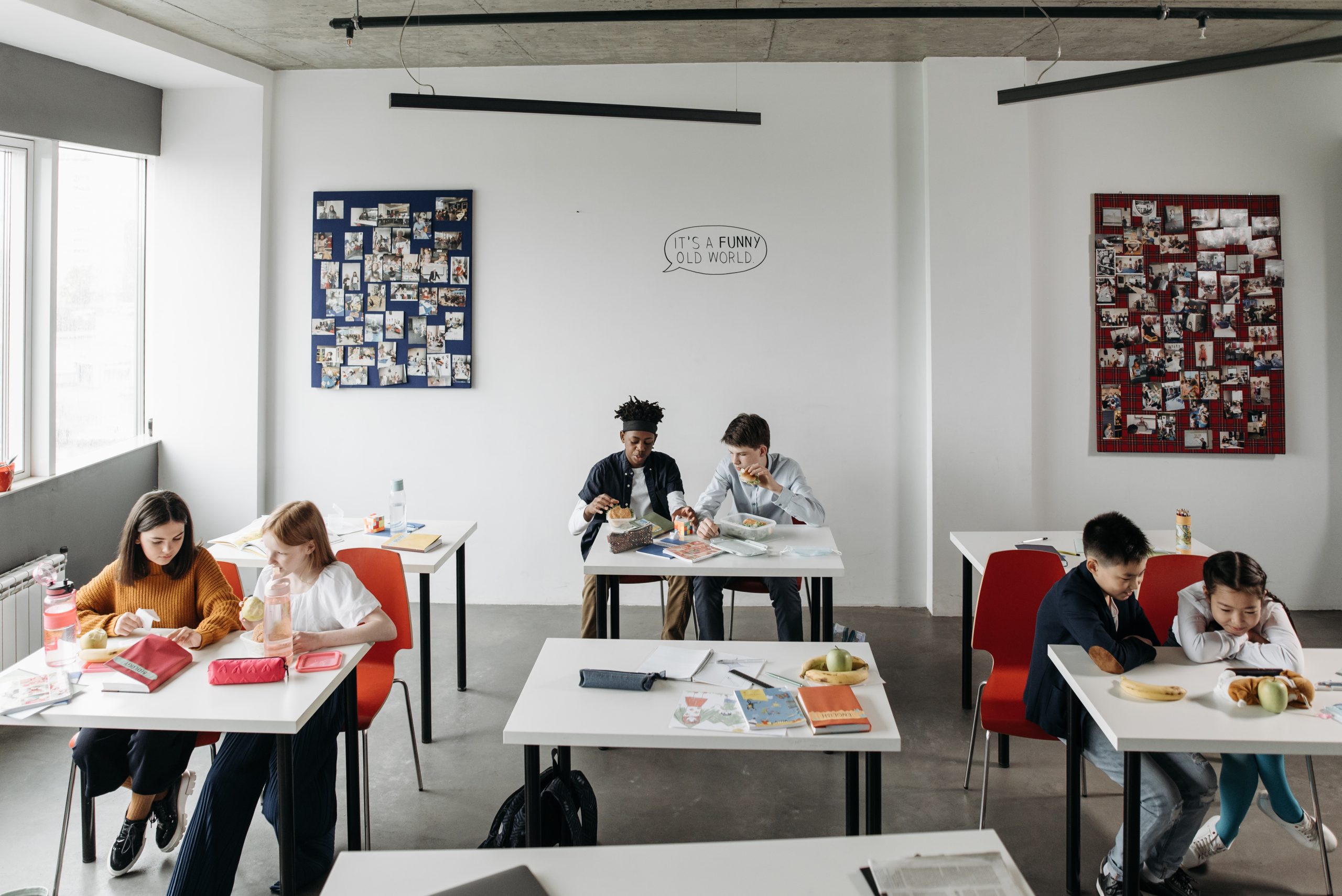 Pexels pavel danilyuk